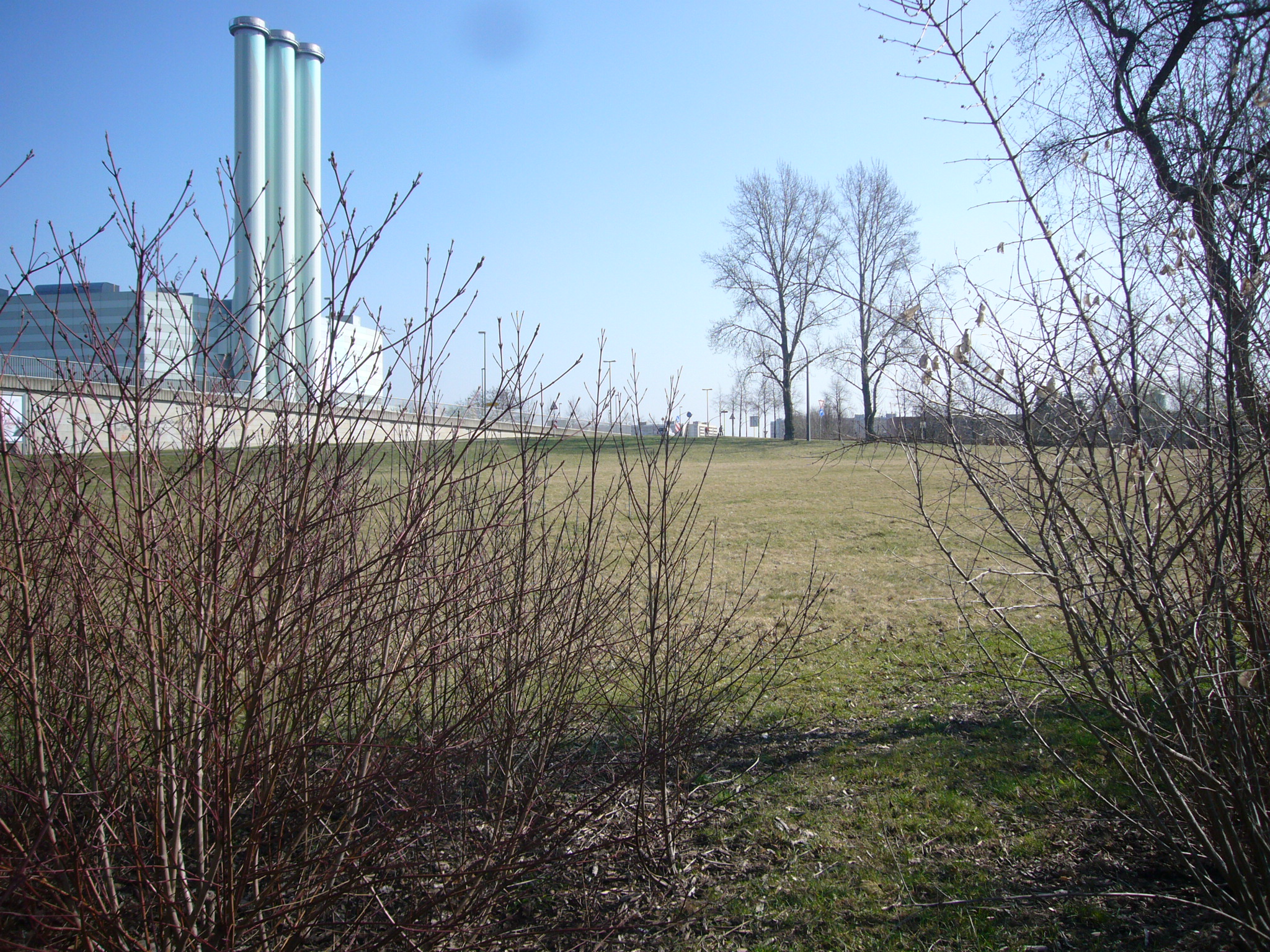 Grünzug Weißeritz: Floßhofterassen und Ebertplatz 2012