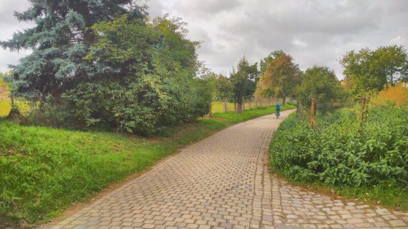 gepflasterter Wirtschaftsweg, links Büsche und freies Feld