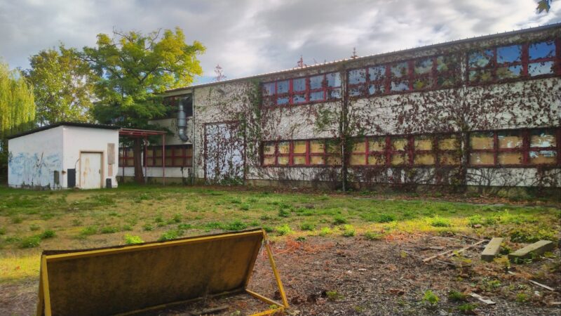 Das alte Werkstättengebäude, ein Beton-Bau mit roten Fenstern und mit Wein bewachsen geht über das gesamte Bild. Im Vordergrund ein Wiese und Holzreste.