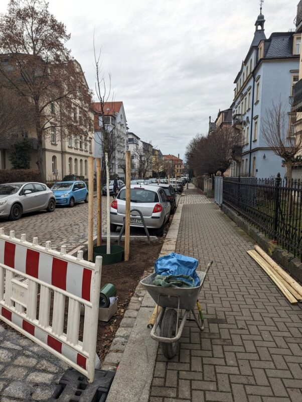 Rechts ein Fußweg, in der Mitte ein neu gepflanzter Baum ohne Blätter mit drei Holzpfählen. Vorne eine Schukarre, rechts am Zaun weitere Teile für den Baumschutz.