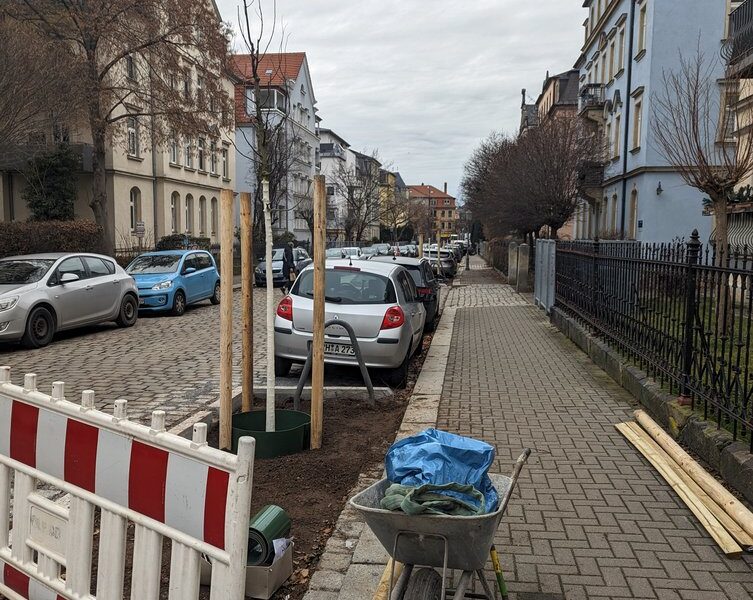 Rechts ein Fußweg, in der Mitte ein neu gepflanzter Baum ohne Blätter mit drei Holzpfählen. Vorne eine Schukarre, rechts am Zaun weitere Teile für den Baumschutz.