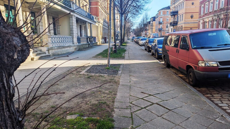 Links Häuser mit Säulen vor den Eingängen, dann ein Fußweg, dann ein Grünstreifen mit Bäumen, wieder ein Fußweg und dann parkende Autos.
